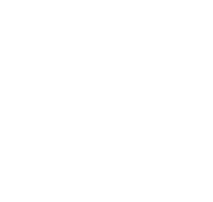 Chiquis Children Store