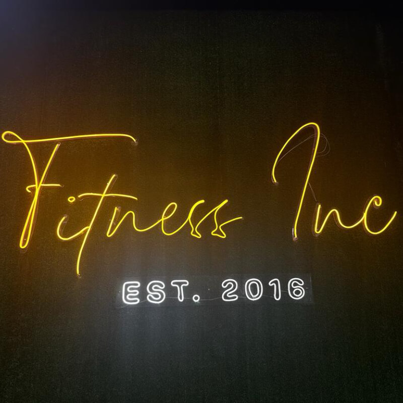Servicios Fitness Inc