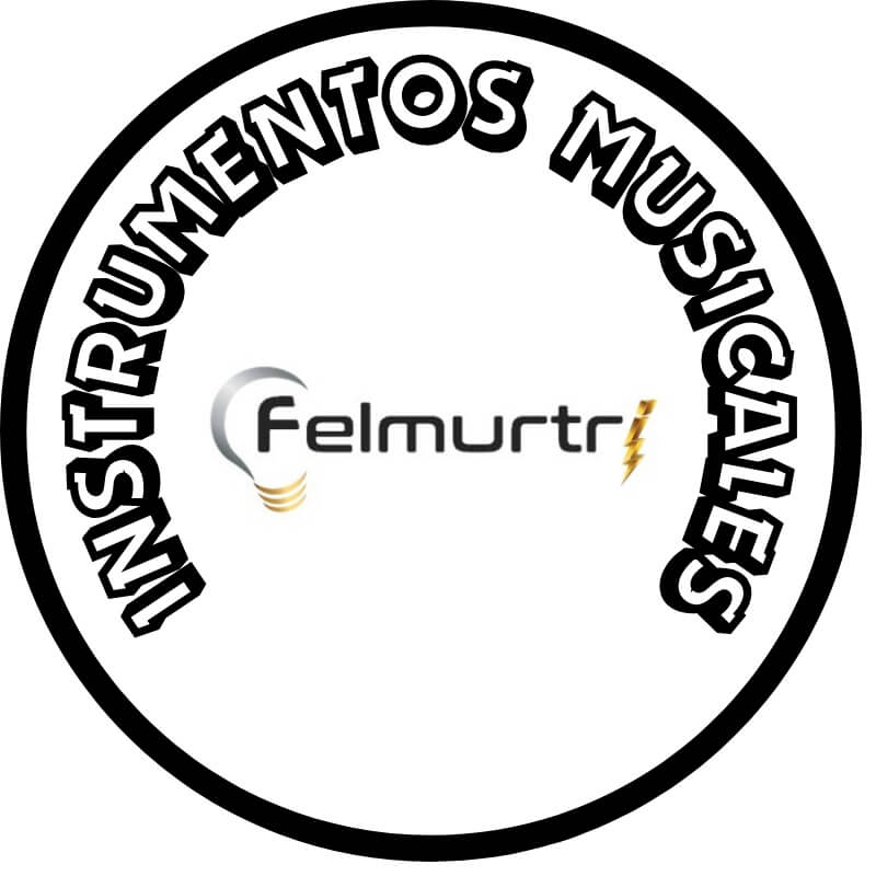 INSTRUMENTOS MUSICALES