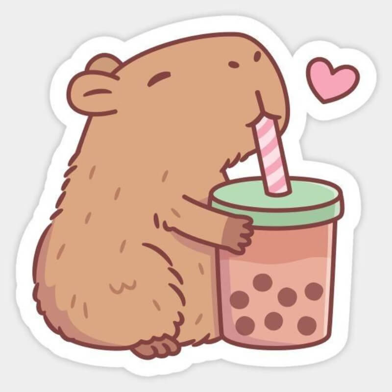 CAPYBARA