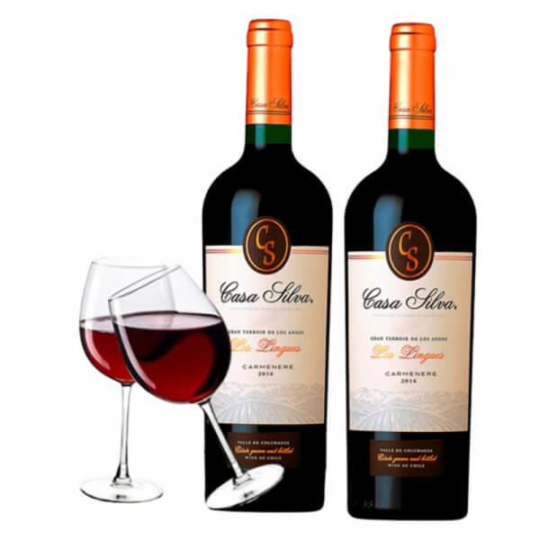 Promo Casa Silva Gran Terroir de los Andes - Noviembre