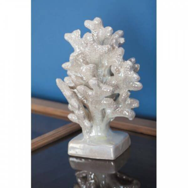 Coral blanco brillante pequeño