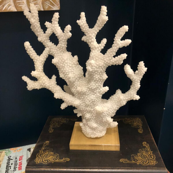 Coral blanco pequeño con base acrílica