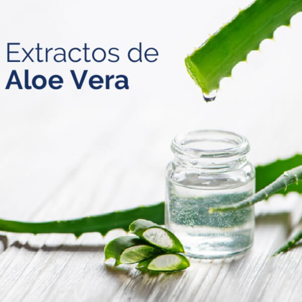 Extracto de Aloe Vera - 1000 GR