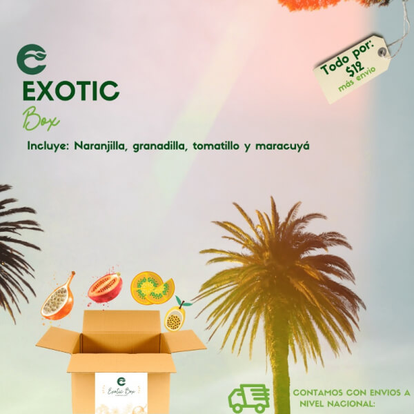 Exotic Box