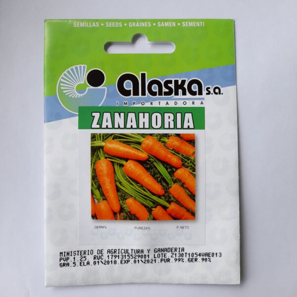 Zanahoria chantenay semilla