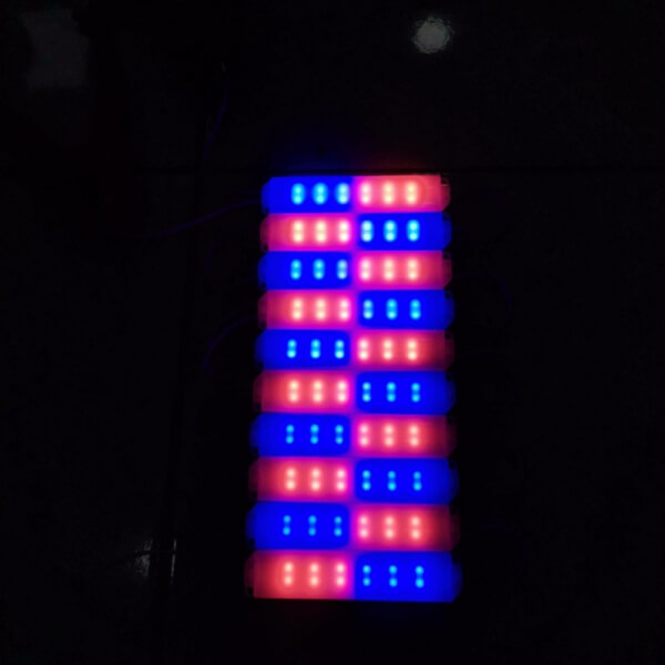 Modulo led 12v 10pc color rojo+azul flash 12v