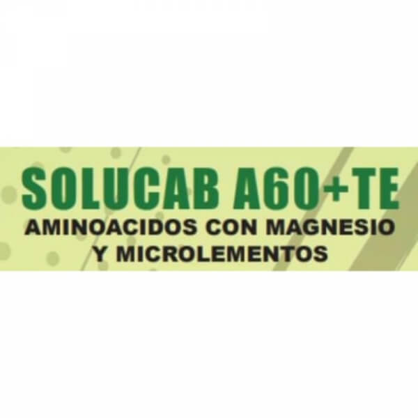 SOLUCAB A60+TE 1 KG.