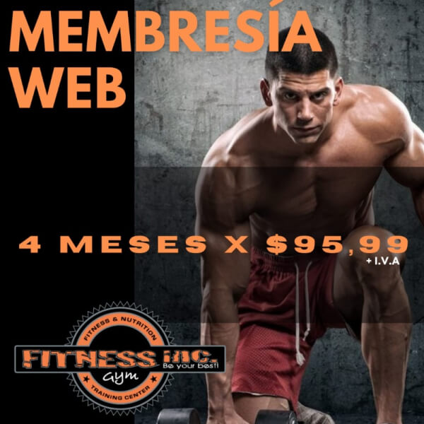 4 Meses Membresía WEB