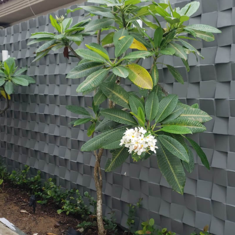 Epick - Piedra Decorativa 3D para revestimiento de pared exterior