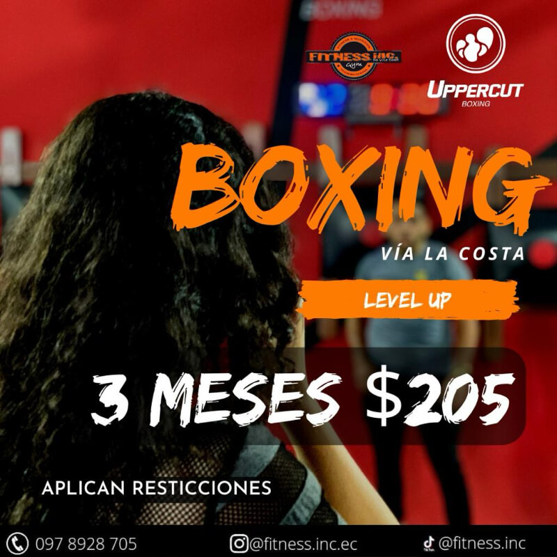 Uppercut 3 Meses