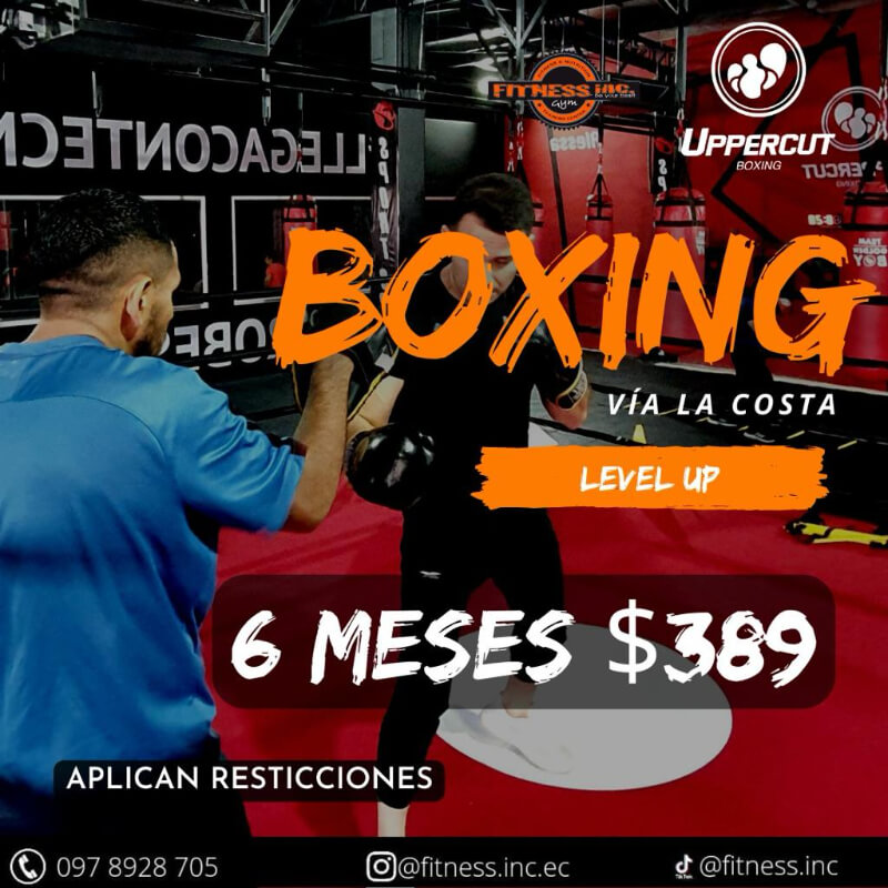 Uppercut 6 Meses