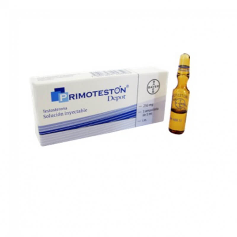 PRIMOTESTON 250MG AMPOLLA X 1