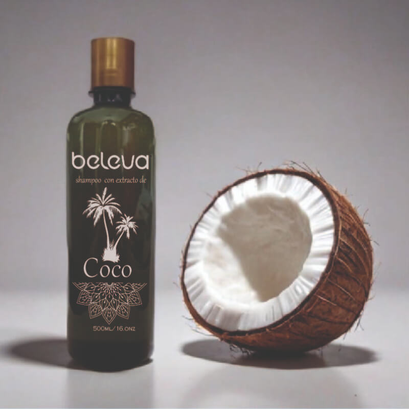 SHAMPOO CON EXTRACTO DE COCO 500 ML