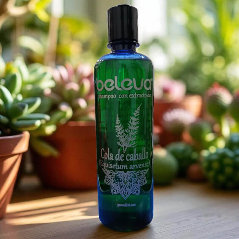 SHAMPOO DE COLA CABALLO