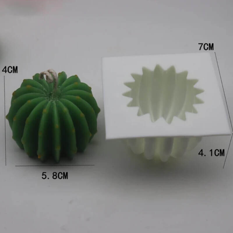 molde de CACTUS 3D