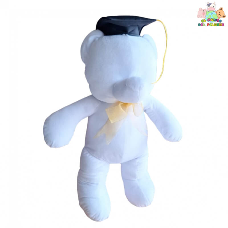 Peluche Oso Pintable para Graduaciones - 38cm Chico | El Mundo del Peluche Querétaro