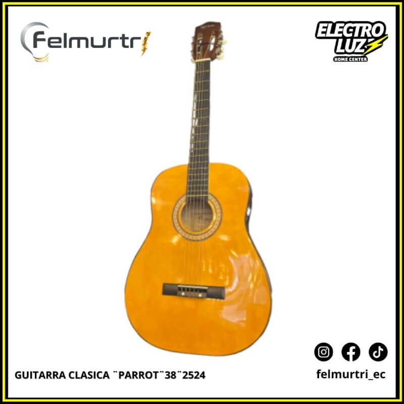 GUITARRA CLASICA ¨PARROT¨38