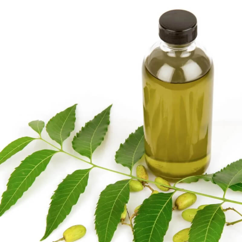 Aceite de Neem (Neem Oil) 1 Litro.