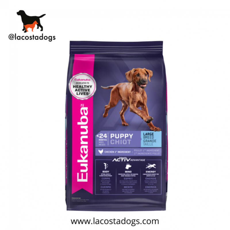 Eukanuba Puppy Large Breed - Alimento Premium para Cachorros de Razas Grandes (15 kg)