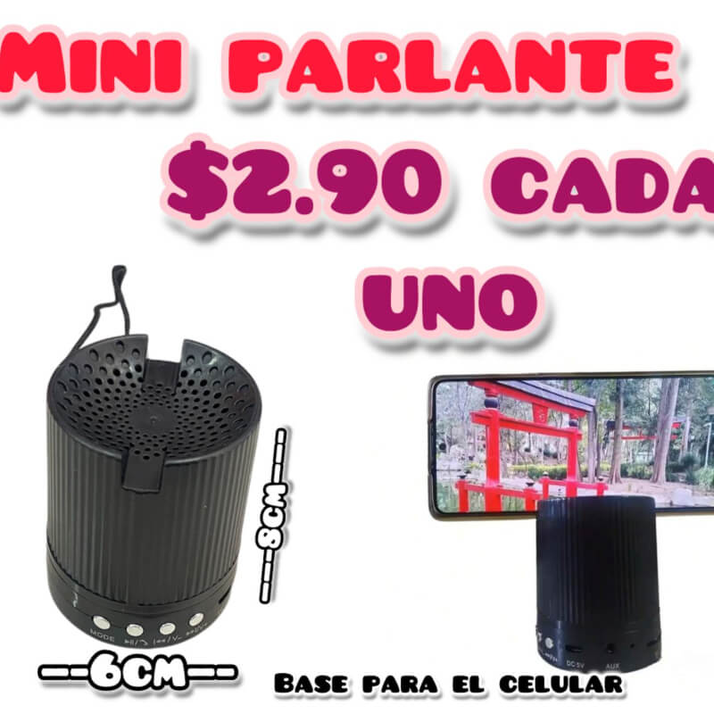 Parlante mini DYX-08-077