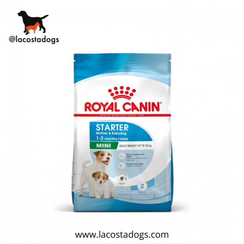 Royal Canin Mini Starter Mother y Babydog - Alimento Completo para Perras en Gestación y Cachorros (1 kg)