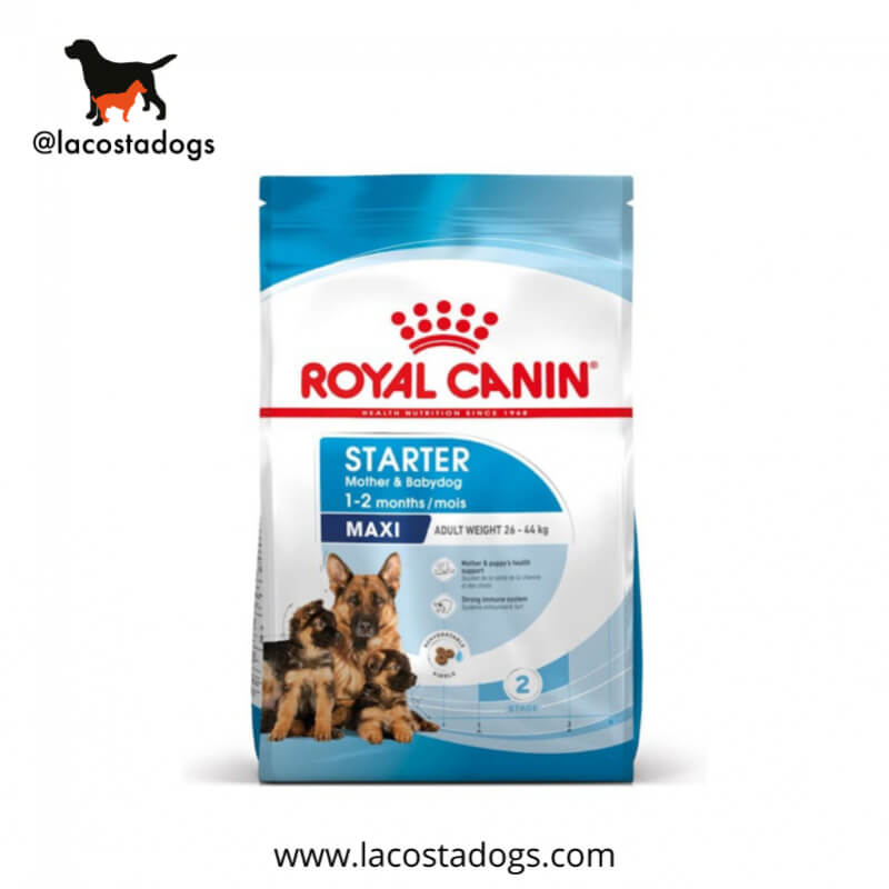 Royal Canin Maxi Starter Mother y Babydog 4 kg - Alimento Completo para Perras de Razas Grandes y Cachorros (26-44 kg)