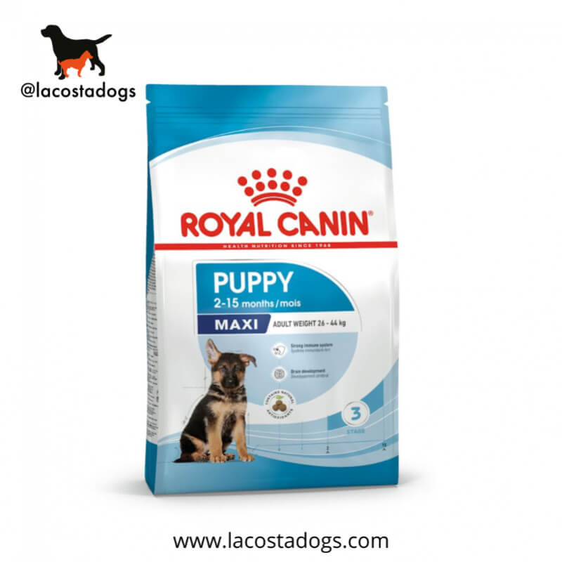 Royal Canin Maxi Puppy 4 kg - Alimento Completo para Cachorros de Razas Grandes (26-44 kg)