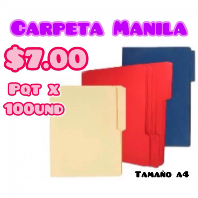 Carpeta manilla