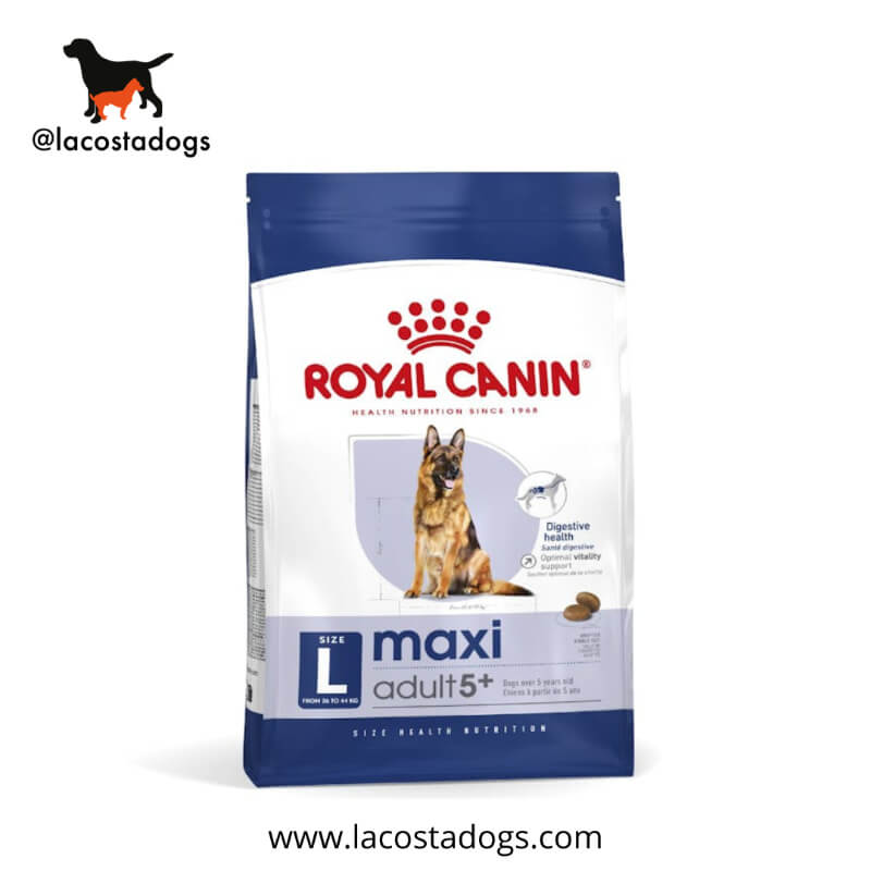 Royal Canin Maxi Adult 5+ 15kg - Alimento para Perros Adultos de Razas Grandes Mayores de 5 Años