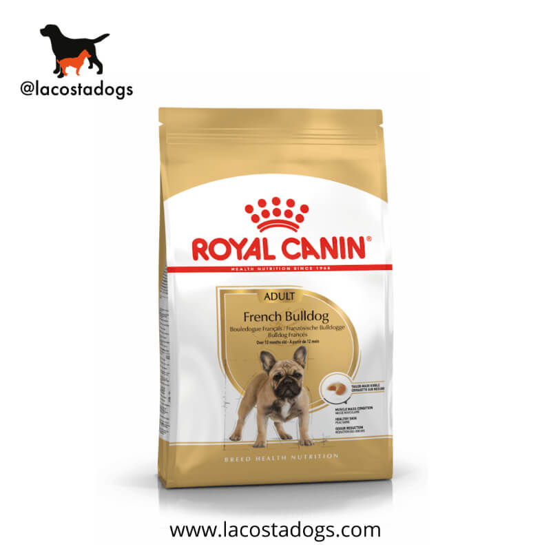 Royal Canin French Bulldog Adult 9kg - Alimento para Bulldog Francés Adultos a Partir de 10 Meses