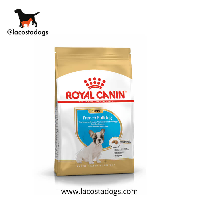 Royal Canin French Bulldog Puppy 10 kg - Alimento Seco para Cachorros de Bulldog Francés (Hasta 12 Meses)