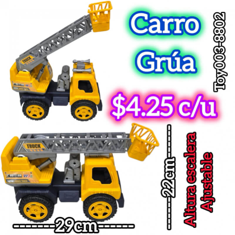 Carro Grúa