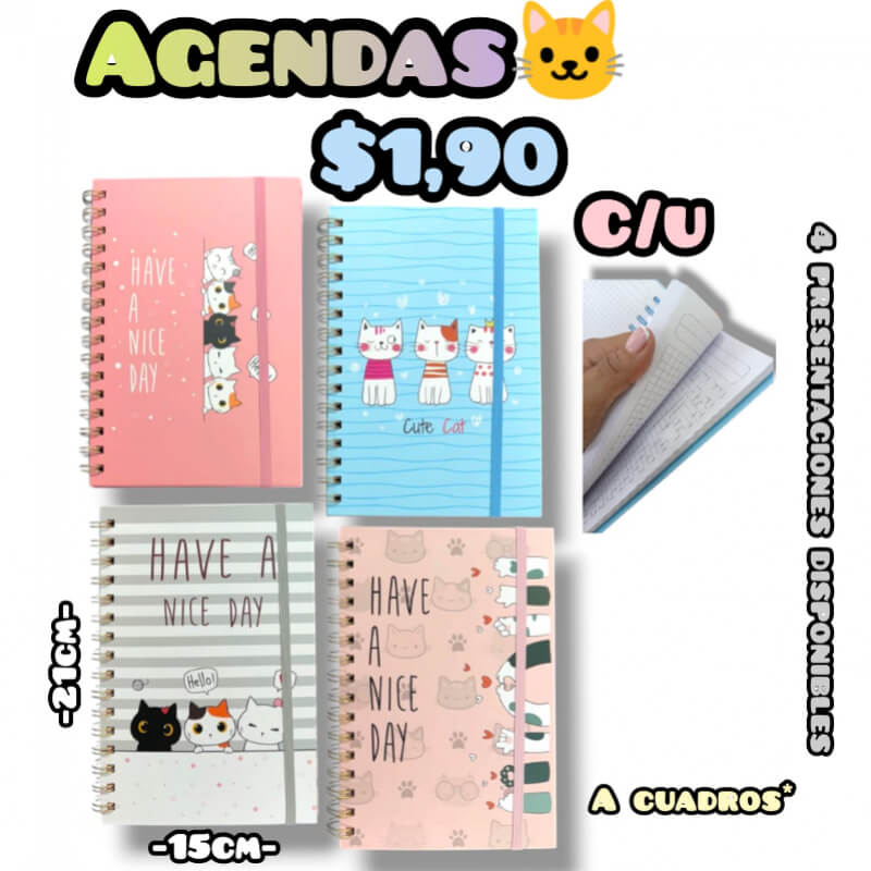 Agenda