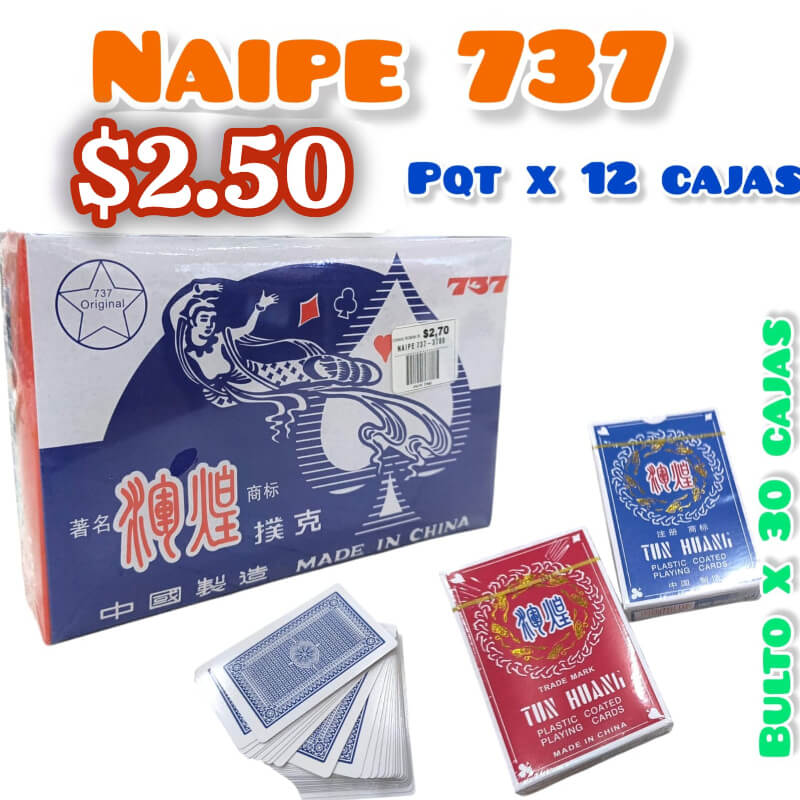 NAIPE 737