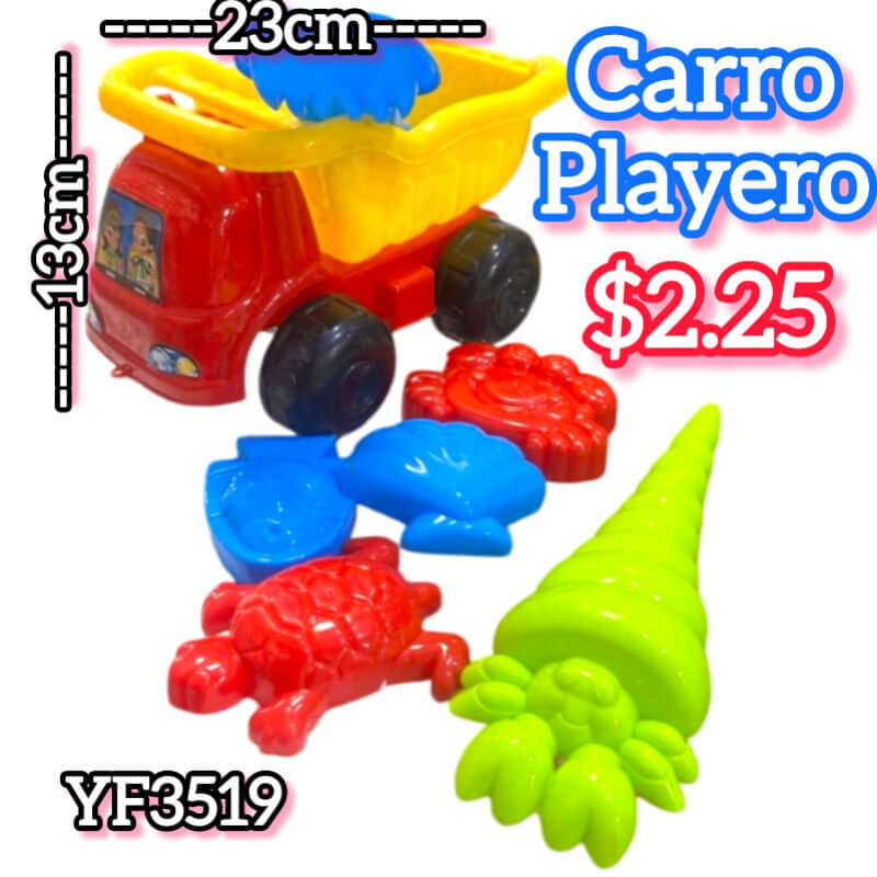 CARRO PLAYERO