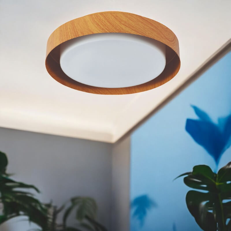 Plafón LED Biz 29 Wood: Sobreponer, Moderno, Iluminación Interior | Proluxes