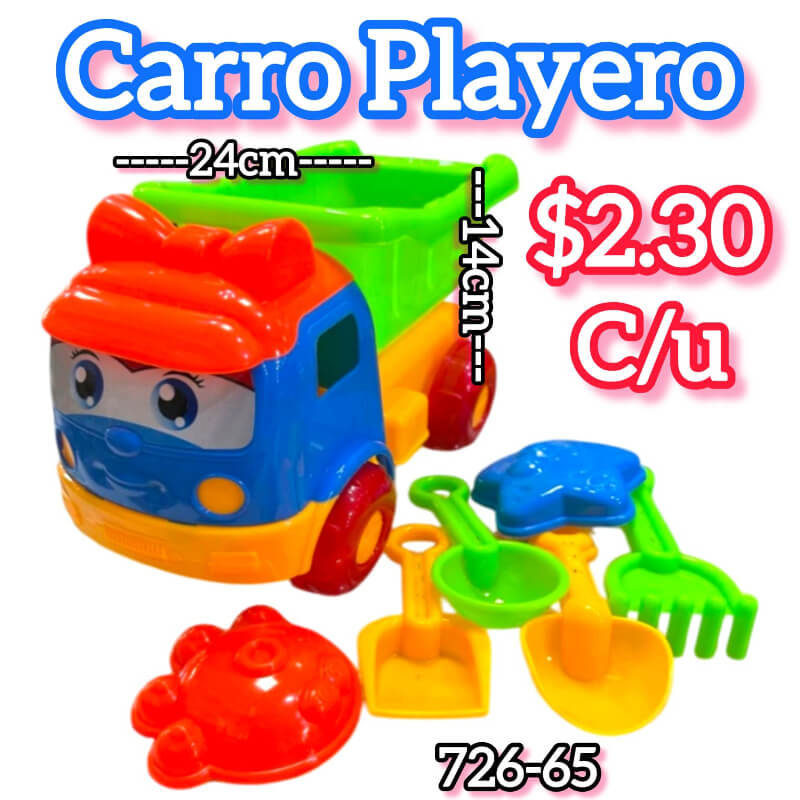 CARRO PLAYERO