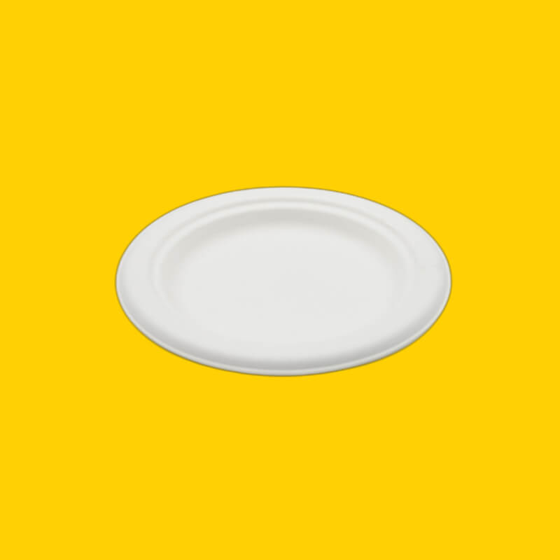PLATO #6 COMPOSTABLE X20 UDS.