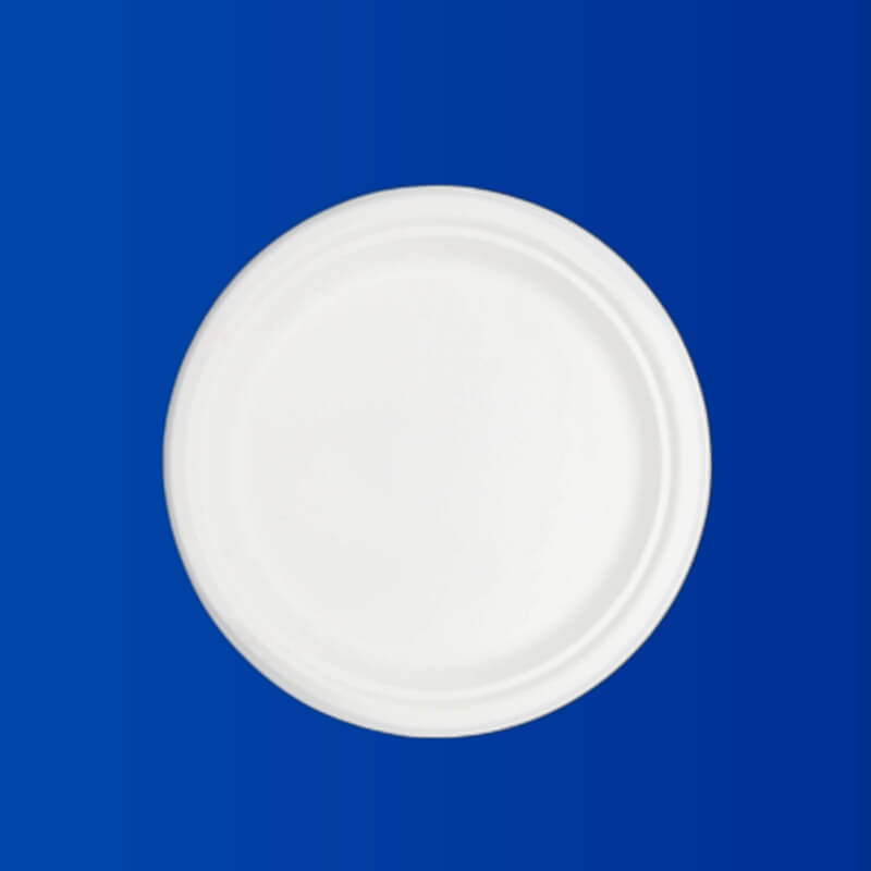 PLATO #9 COMPOSTABLE X10 UDS.