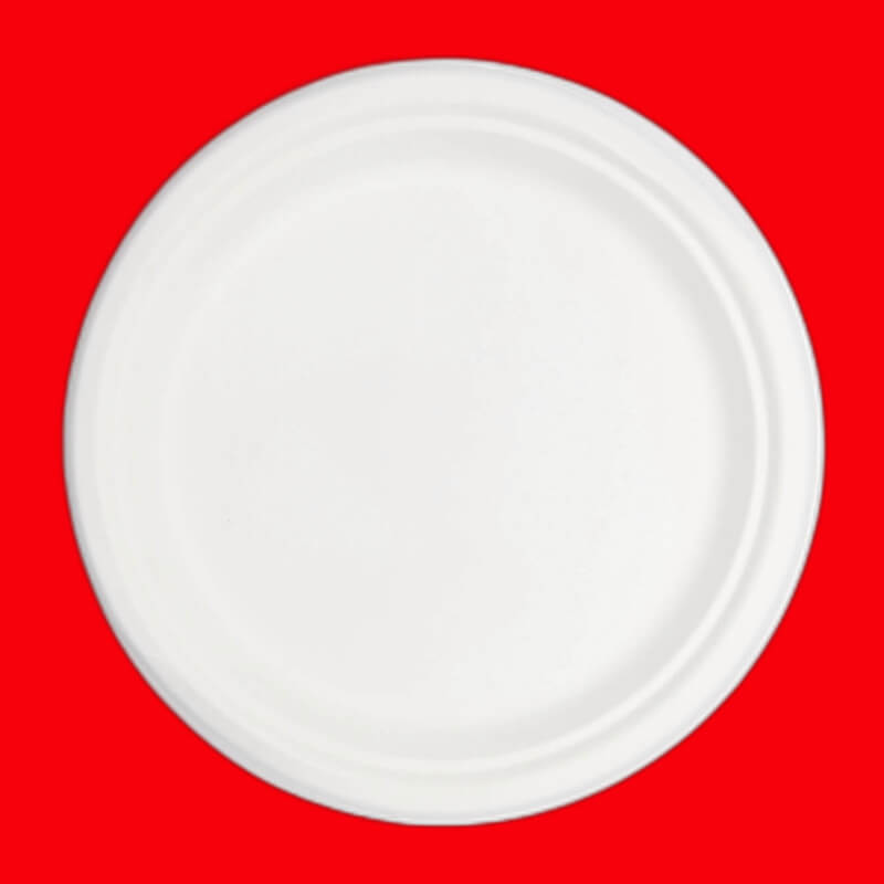 PLATO #10 COMPOSTABLE X20 UDS.