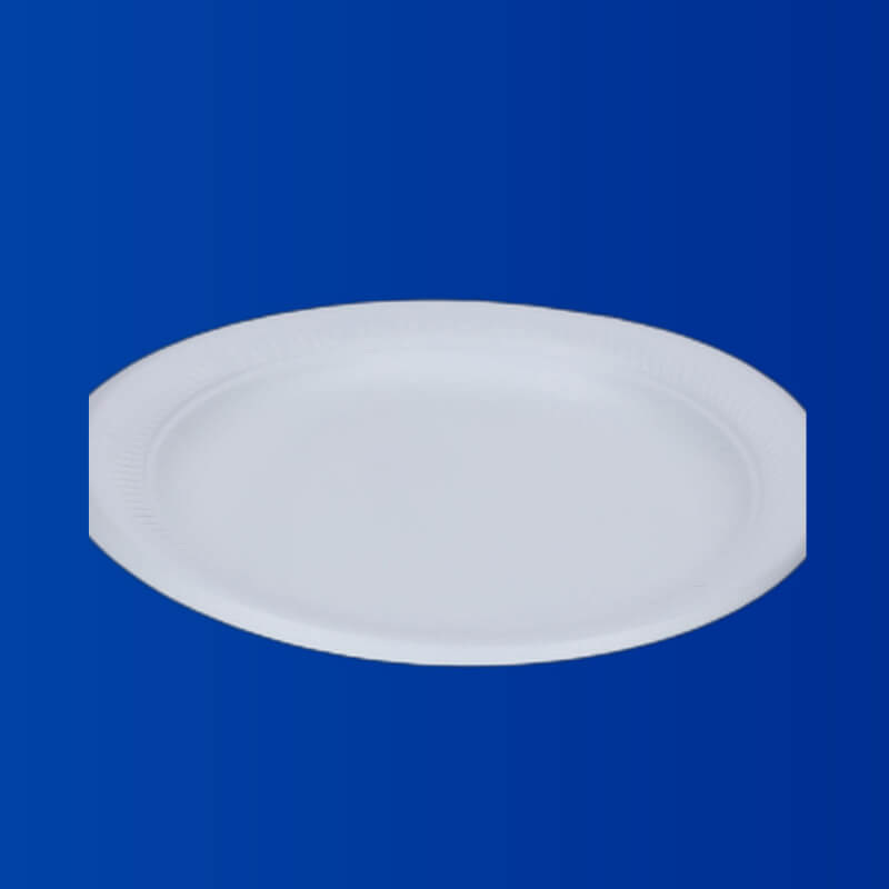 PLATO 9 LLANO ALEGRIA