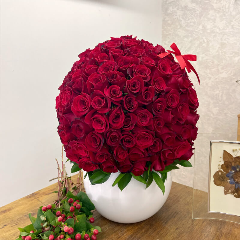 LADYDI BASE RED