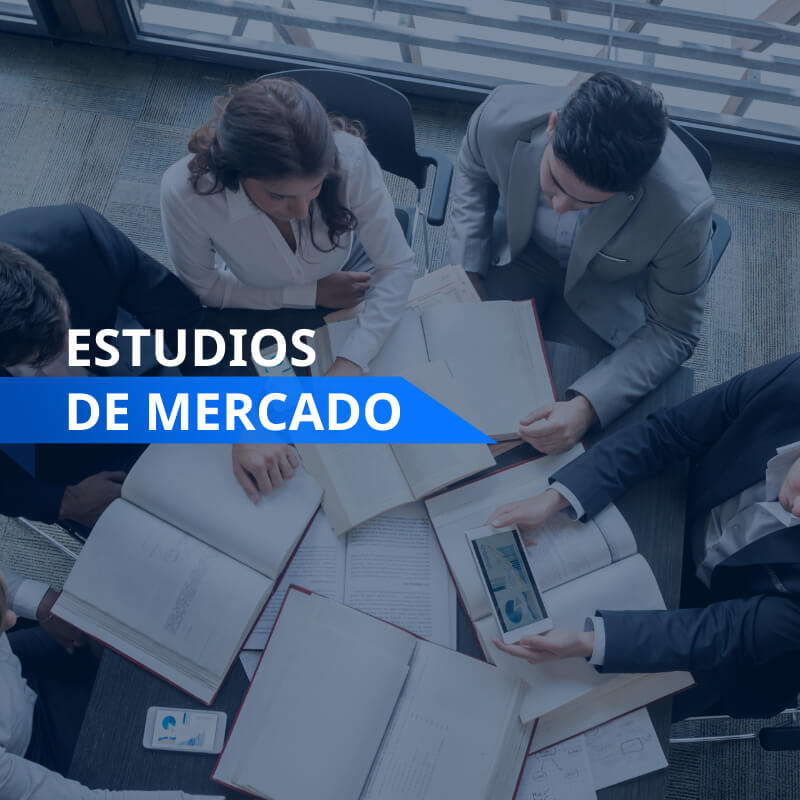 Estudios de mercado | Inteligencia Empresarial