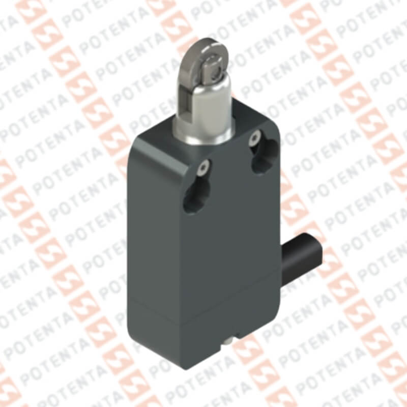 Final carrera NAB, actuador piston rodillo, no+nc, 250Vac 3a, Cab=2m, ip67/69k, Pizzato