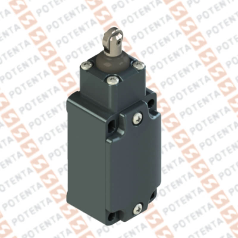 Final carrera FD, actuador piston rodillo, no+nc, 250Vac-6a, ip67, terminal, pg13.5, Pizzato