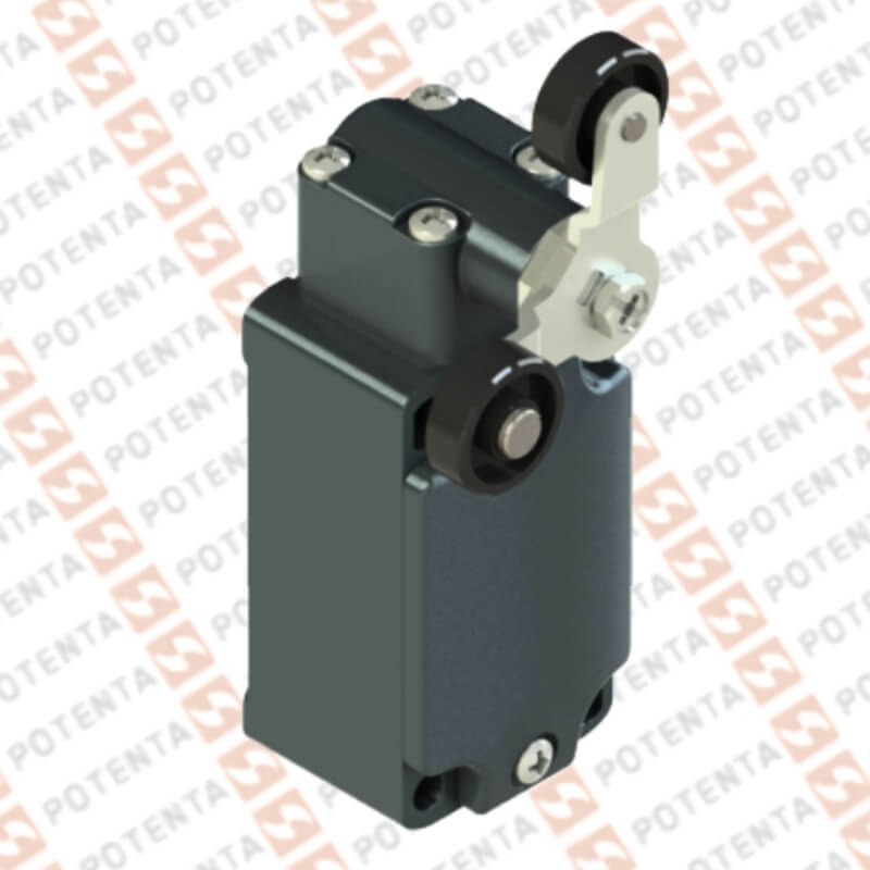 Final carrera FD, actuador palanca doble via biestble, no+nc, 250Vac-6a, ip67, term, Pizzato