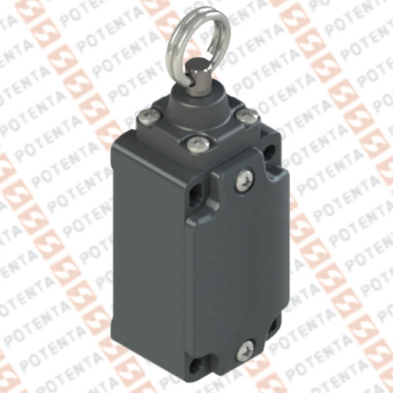 Final carrera FD, actuador cuerda, no+nc, 250Vac-6a, ip67, ip67, terminal, Pizzato