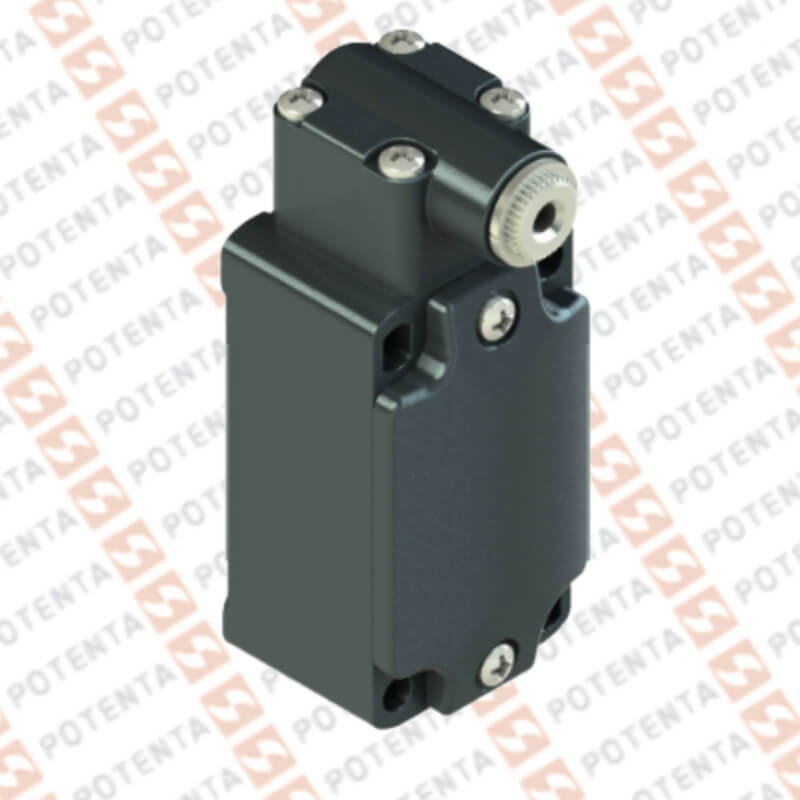 Ensamble FD, cuerpo final de carrera, no rasante, no+nc, 250Vac-6a, ip67, terminal Pizzato