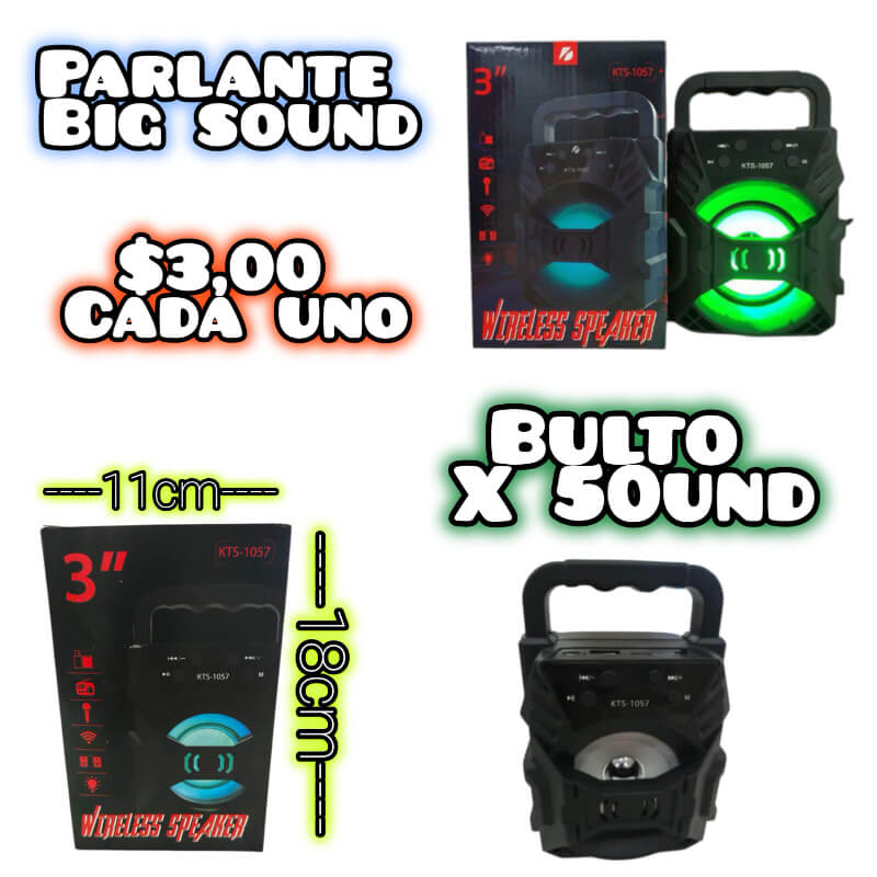 PARLANTE BIG SOUND